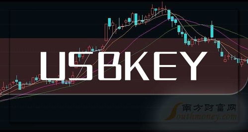 2025年USBKey上市龍頭企業(yè)名單發(fā)布，通訊產(chǎn)品研發(fā)引領(lǐng)新趨勢