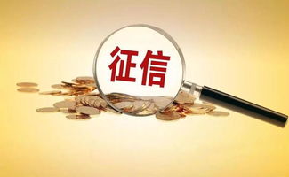 征信服務(wù)收費標(biāo)準(zhǔn)下調(diào)近50% 激發(fā)社會經(jīng)濟(jì)咨詢新活力